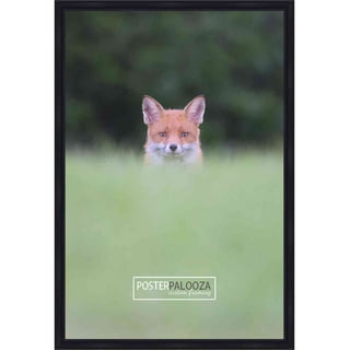 UV Acrylic Poster Palooza 17x17 Traditional Copper Wood Picture Square Frame Foam Board Backing & Hanging Hardware Included! UV Acrylic Poster Palooza 17x17 Traditional Copper Wood Picture Square Frame Foam Board Backing & Hanging Hardware Included!